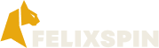 Felixspin App